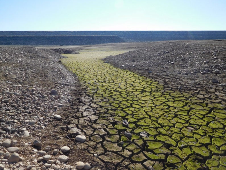 closeup of dry lakebed at California’s Folsom Lake in the midst of record drought