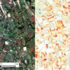 Image of maize farm plots in Western Kenya taken by Terra Bella satellites (left) and an agricultural yield map (right) generated from the same image using machine learning algorithms.