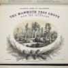 A book of engravings known as Vischer's Views Of California detailing The Mammoth Tree Grove, is part of the Sequoias collection.