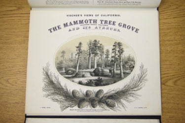 A book of engravings known as Vischer's Views Of California detailing The Mammoth Tree Grove, is part of the Sequoias collection.