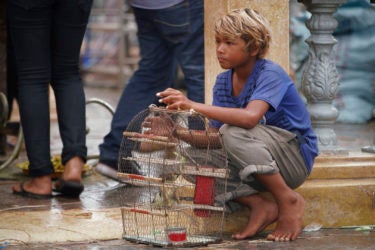 a young boy seated on a curb in the street, holding a bird cage