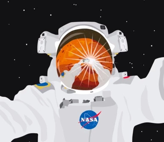 astronaut taking a selfie