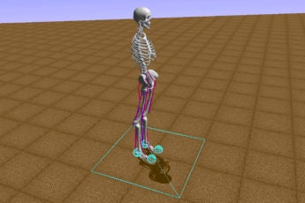 Computer model of human bones, muscles and motor control similar to the ones participating in the “Learning to Run” machine learning competition.