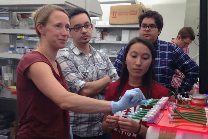 Polly Fordyce (left), assistant professor of bioengineering and genetics, and graduate students Louai Labanieh, Sarah Lensch and Diego Oyarzun discuss the design of a microfluidic device built to study coral bleaching.