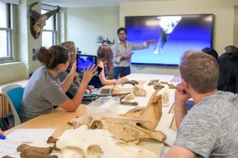 Krish Seetah, assistant professor of anthropology, in the classroom teaching a class on zooarchaeology. Bones are on the table in front of students and the professor is pointing at a 3-D image on a large screen in the front of the class.
