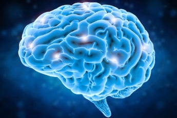 image of brain that emphasizes its folds