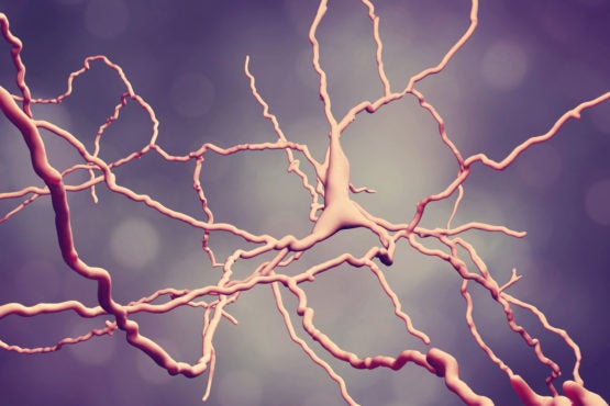 illustration of neurons in the brain