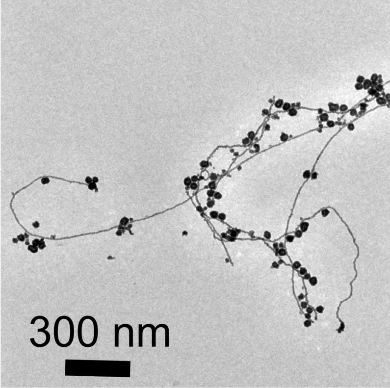 Gold nanoparticles on gold nanowire