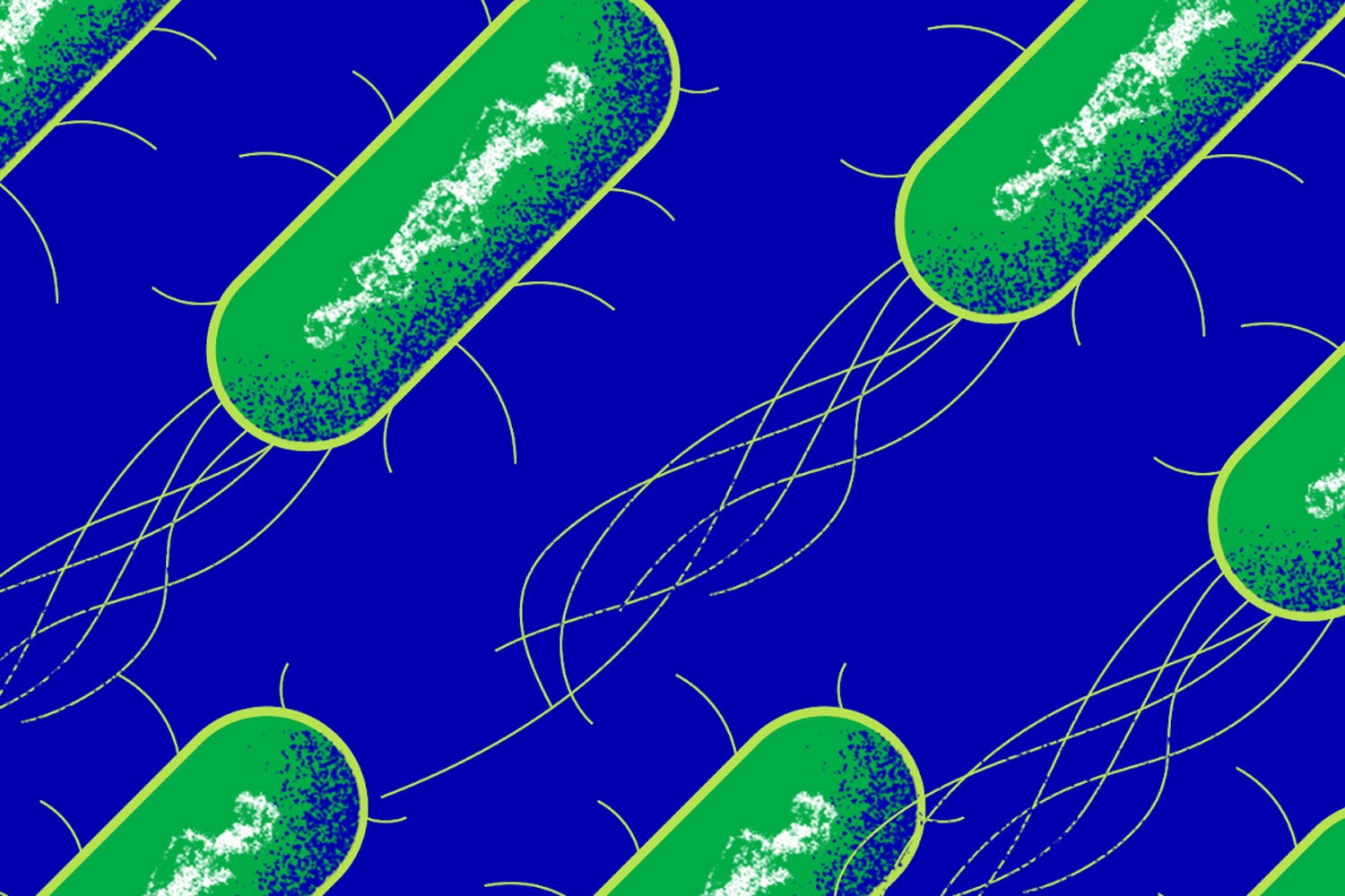 artist's representation of E. coli bacteria