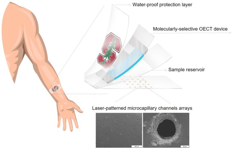 Drawing shows details of the layers contained in the cortisol biosensor developed by the Salleo lab and two close-up images of the holes in the bottom of the sensor that wick in sweat.