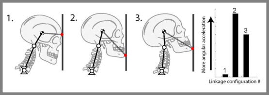 Illustration of three of the head and neck alignments modeled by the researchers