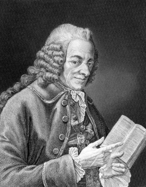 an engraving of the writer Voltaire