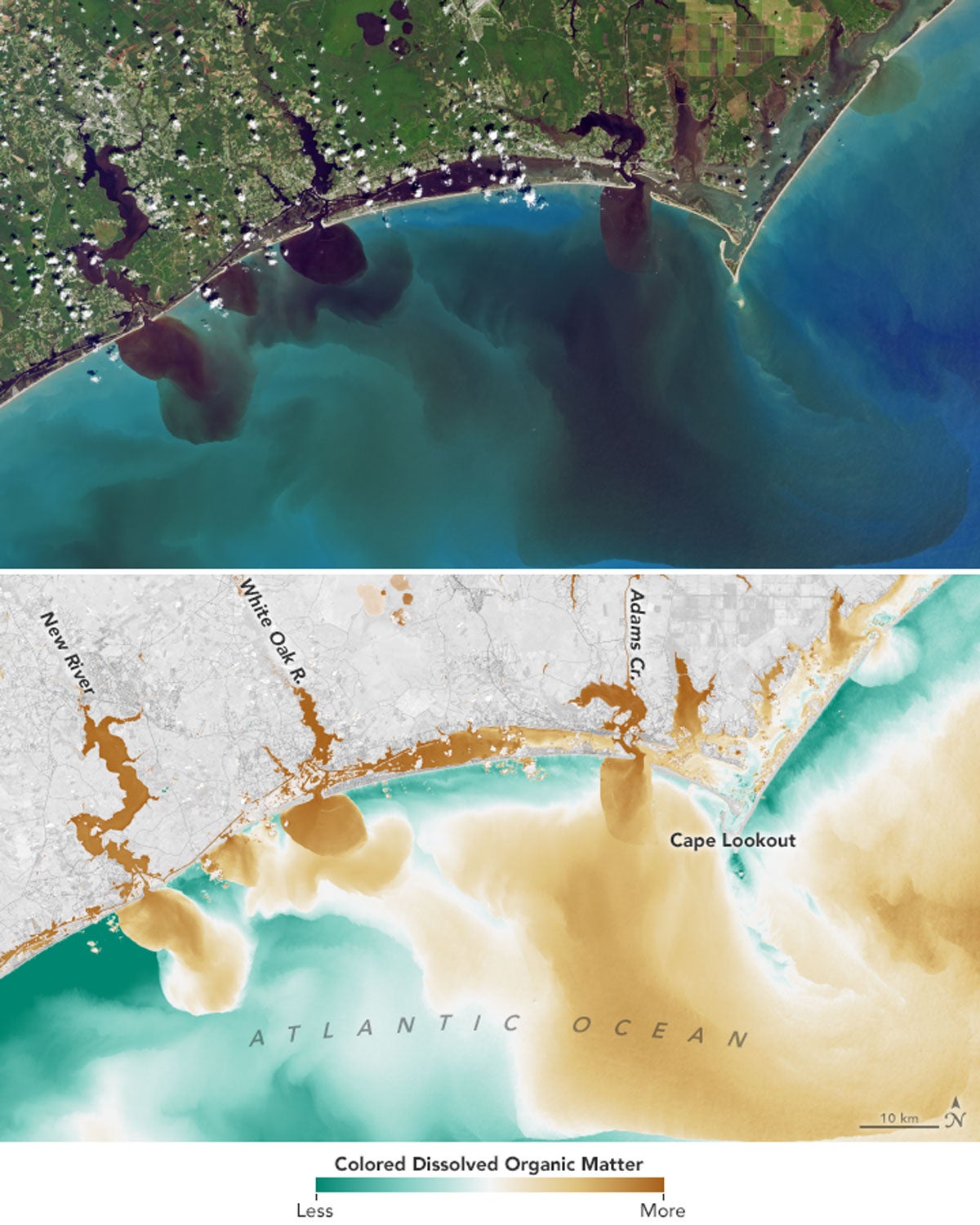 Satellite images of river outflows to the Atlantic Ocean in the wake of Hurricane Florence show water discolored by debris including pollutants spilled by hog farms. 