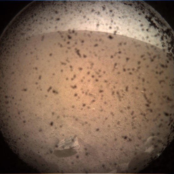 This is the first image of Mars captured by the InSight lander.