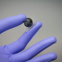robot hand holds blueberry between thumb and finger