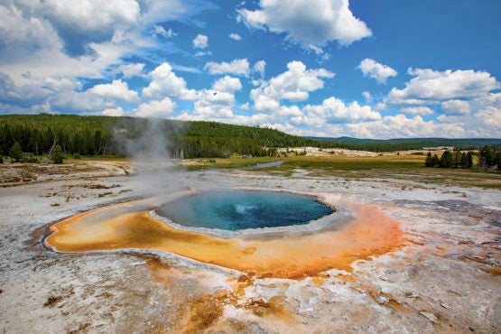 Emerald Hot Spring in Yellowstone National Park
