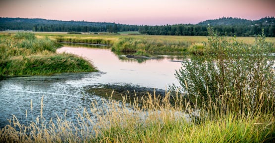Wood River Wetland near Klamath Falls, Oregon