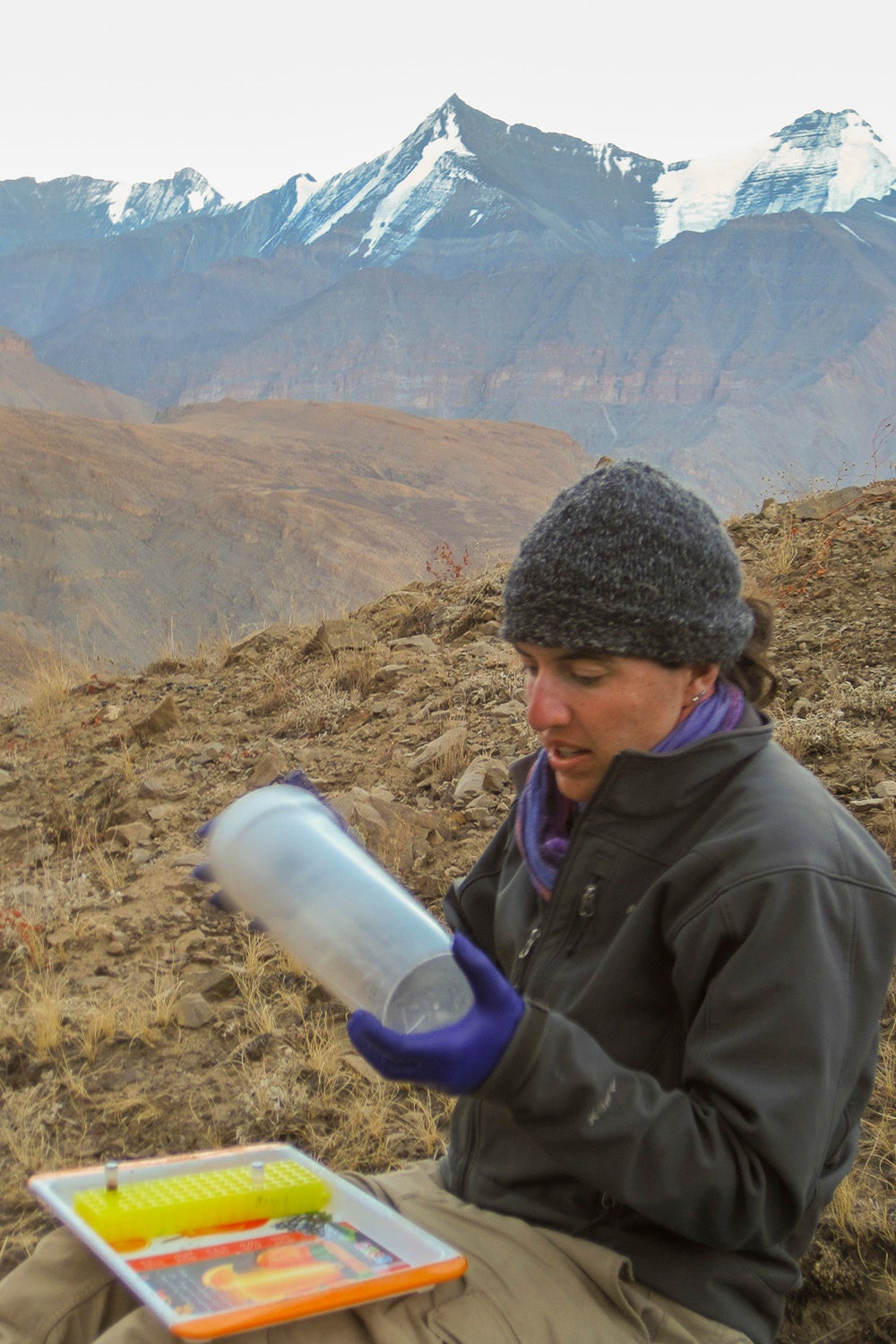 Solari in the field holding a container designed to hold spaghetti in which she sedated the pikas 