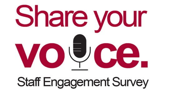 Share Your Voice logo