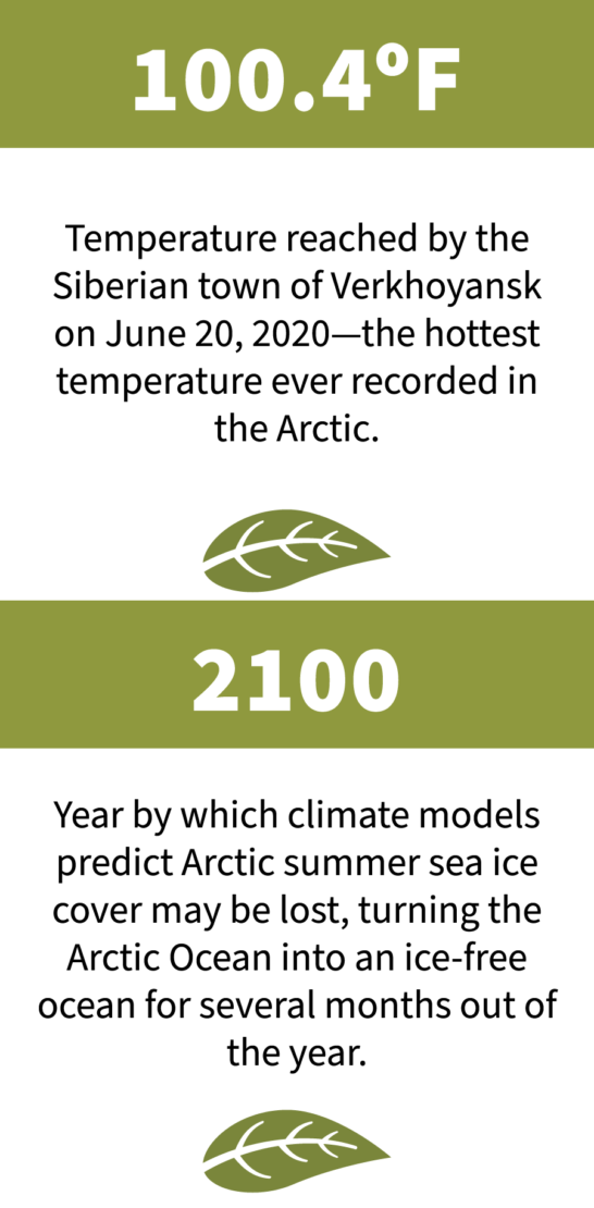 Arctic stats