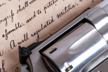 research paper gun laws