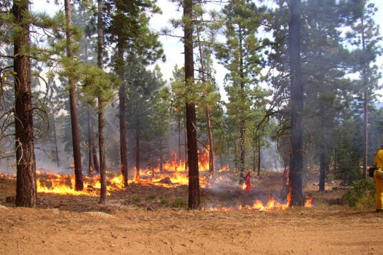 Empowering private landowners to prevent wildfires