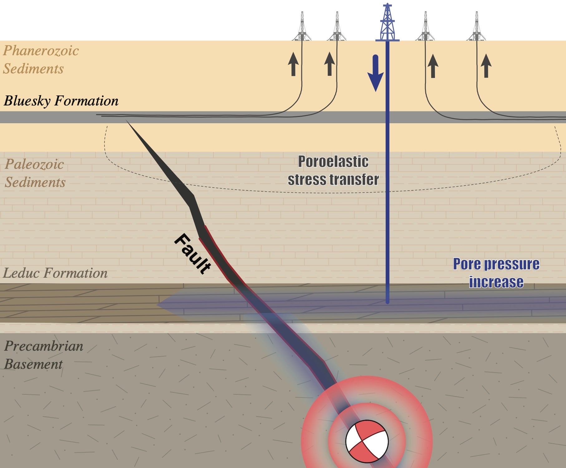Illustration: The injection of fluids increases pore pressure within the underlying fault, destabilizing it. The induced reverse fault slip heaves the overlying strata, creating the ground deformation observed in satellite images.