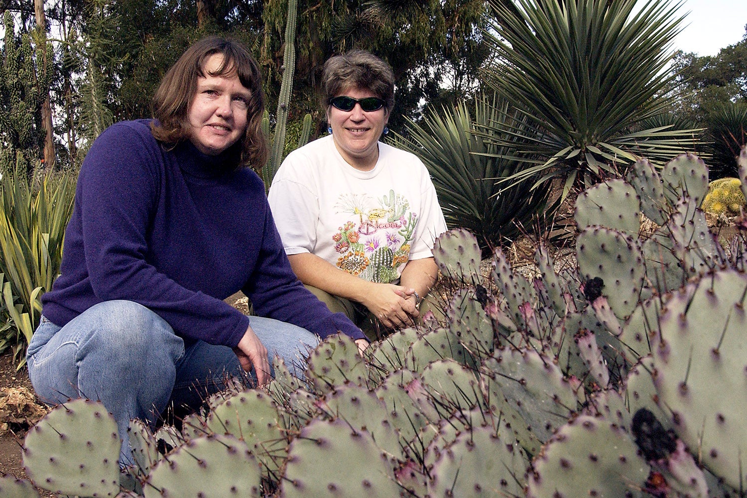 Christy Smith, left, who coordinates volunteers for the Arizona Garden and library specialist Julie Cain, right, are working at restoring the cactus garden in the Arboretum.