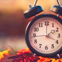 Black analog alarm clock on top of colorful fall leaves